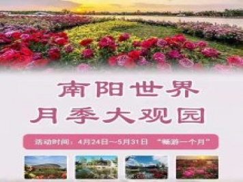 第十二届南阳月季花会4月29日开幕，活动丰富多彩